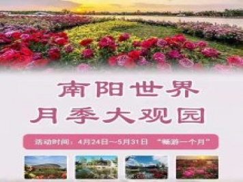 第十二届南阳月季花会4月29日开幕，活动丰富多彩